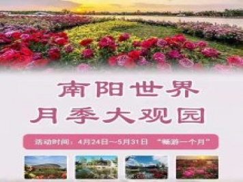 第十二届南阳月季花会4月29日开幕，活动丰富多彩